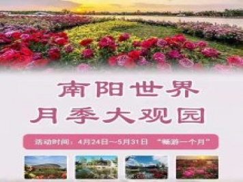 第十二届南阳月季花会4月29日开幕，活动丰富多彩